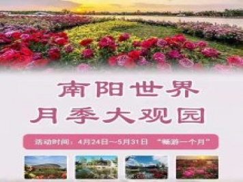 第十二届南阳月季花会4月29日开幕，活动丰富多彩